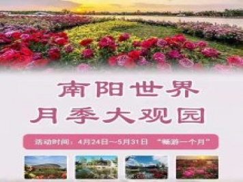 第十二届南阳月季花会4月29日开幕，活动丰富多彩